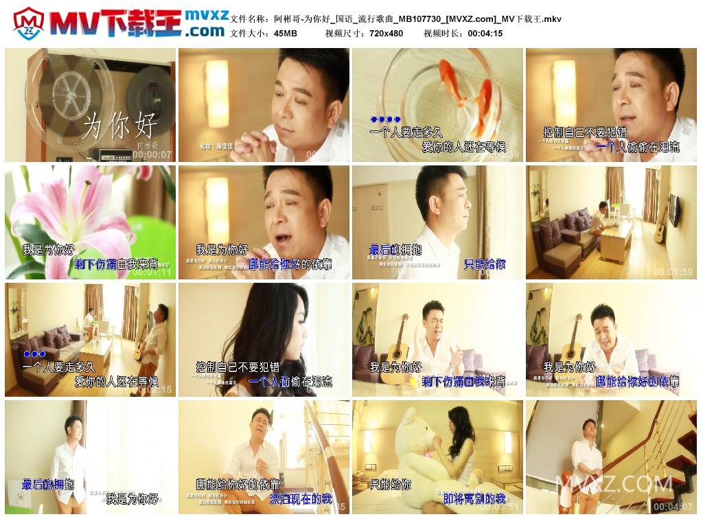 阿彬哥-为你好_国语_流行歌曲_MB107730
